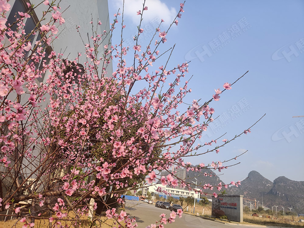 桂林鴻程花團(tuán)錦簇，滿園春色，邀您一起共賞春景，共商大計！